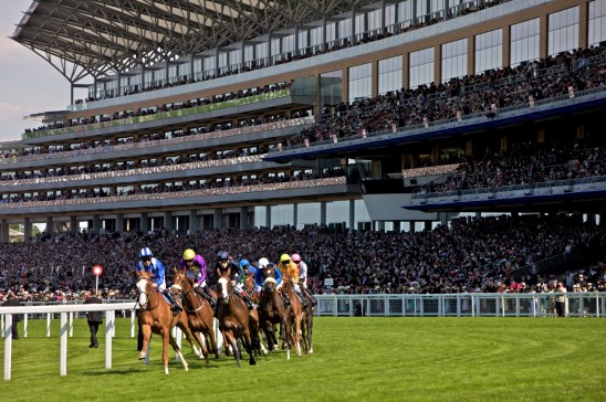 Ascot Ladies Day @ The Roebuck